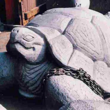 Giant Tortoise 